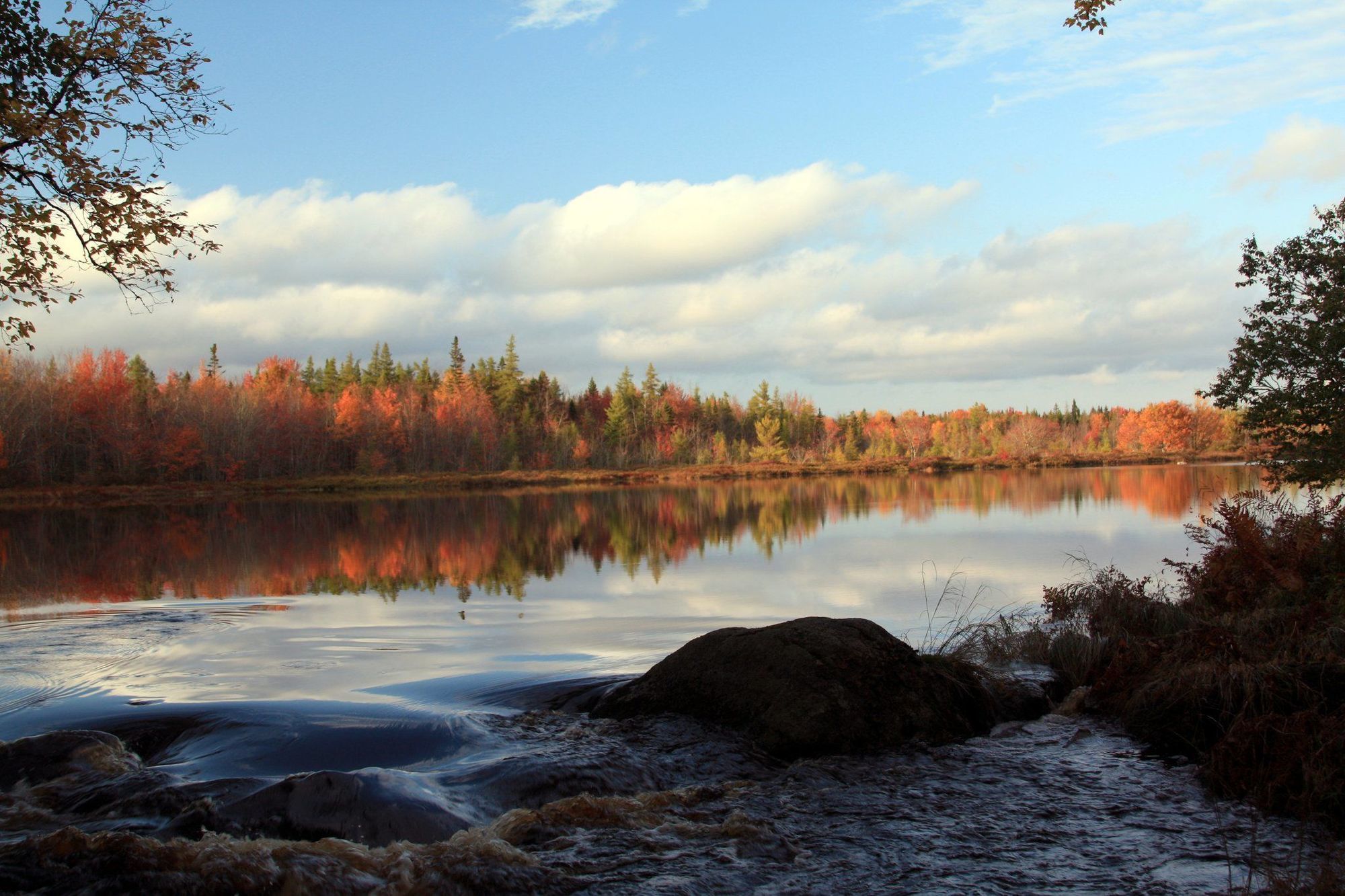 Trout Point Lodge Of Nova Scotia East Kemptville Létesítmények fotó