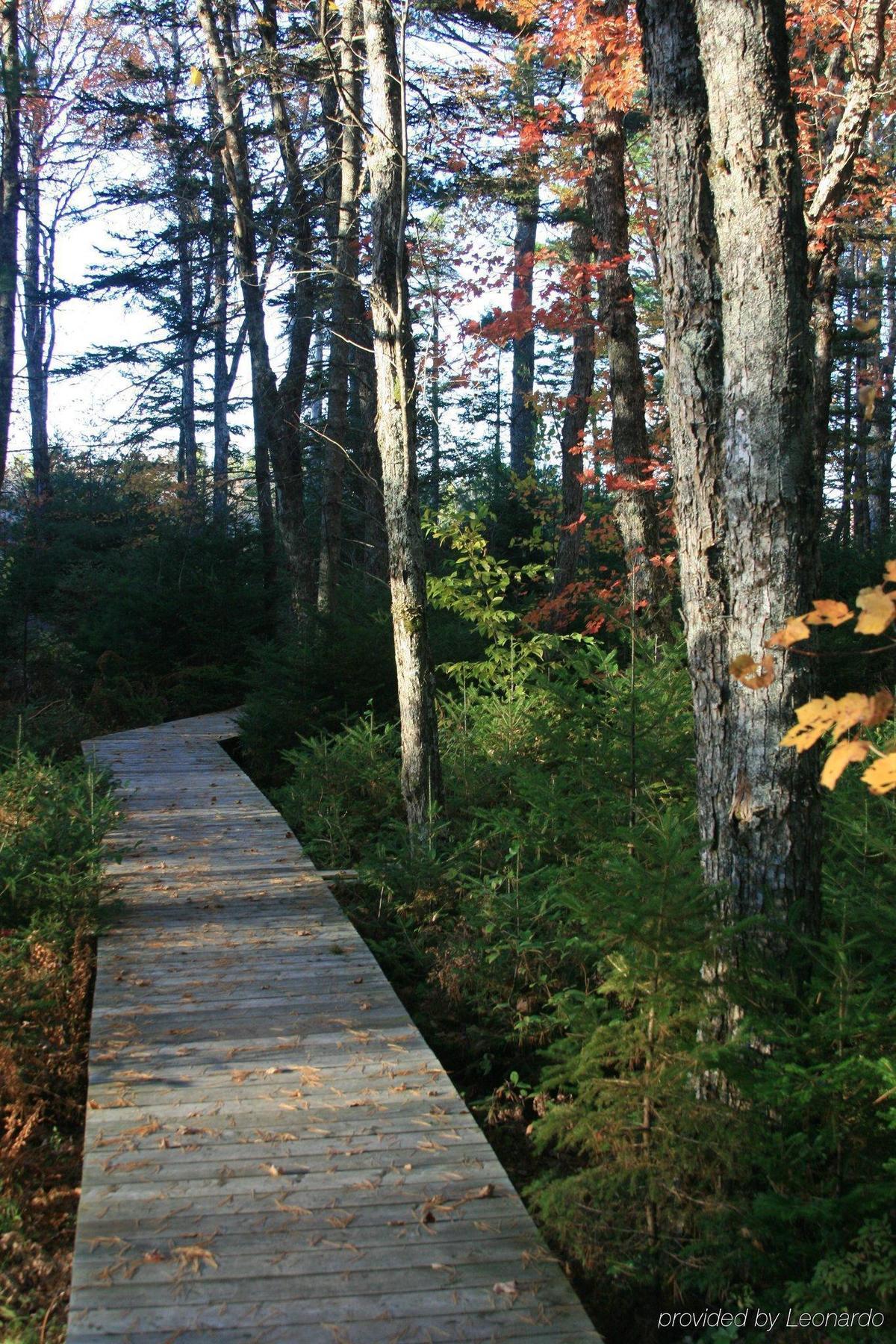 Trout Point Lodge Of Nova Scotia East Kemptville Létesítmények fotó
