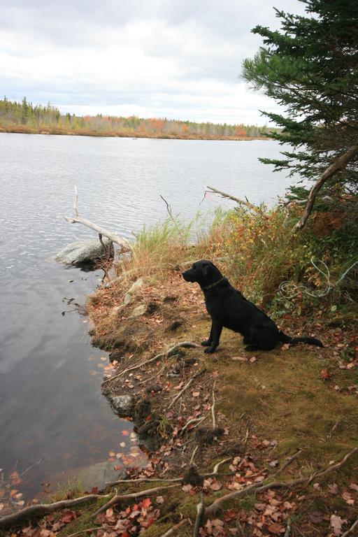 Trout Point Lodge Of Nova Scotia East Kemptville Kültér fotó