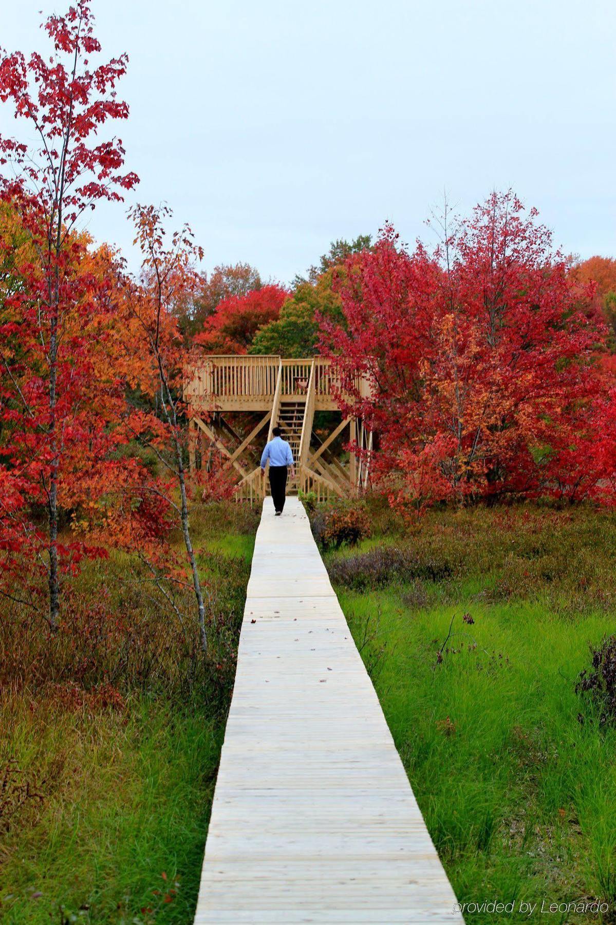 Trout Point Lodge Of Nova Scotia East Kemptville Kültér fotó