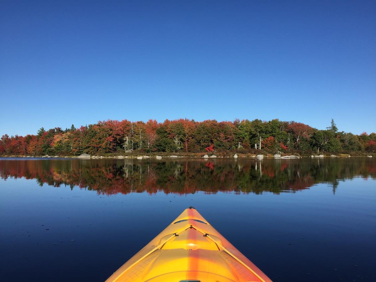 Trout Point Lodge Of Nova Scotia East Kemptville Kültér fotó